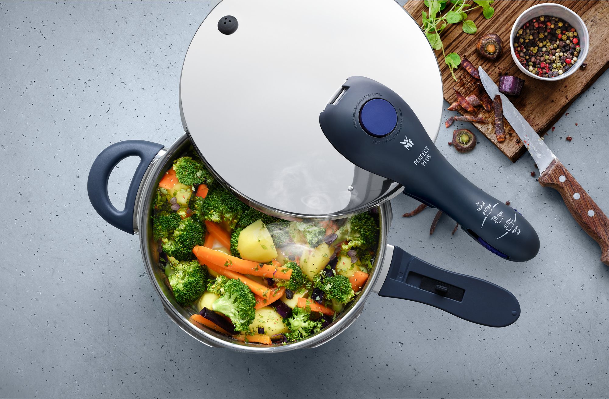 تفاوت مدل زودپزهای WMF